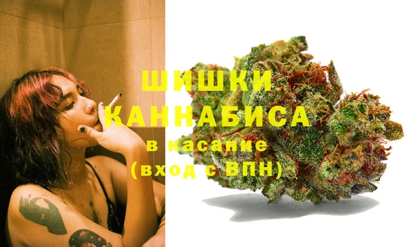 амф Лабытнанги