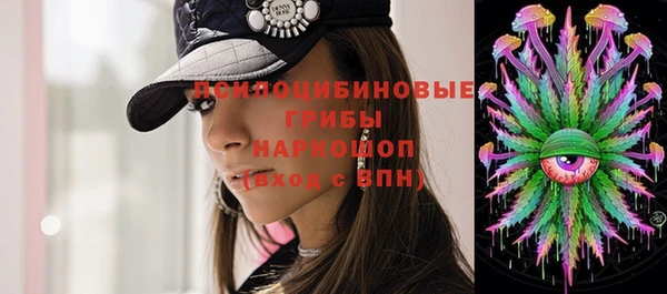 гидра Лиски