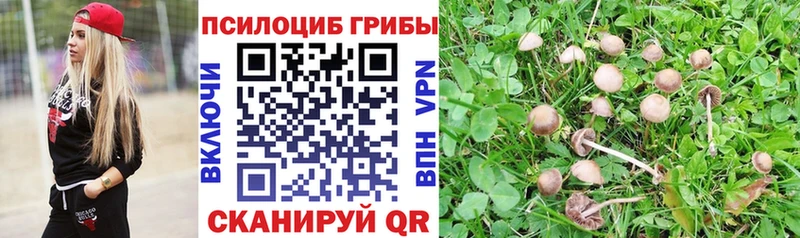 Галлюциногенные грибы ЛСД  Азов 