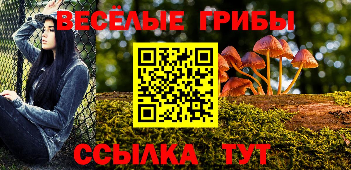 Азов  Псилоцибиновые грибы Psilocybe  Вход с VPN  Галлюциногенные грибы прущие грибы 